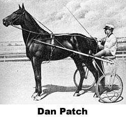 Dan Patch